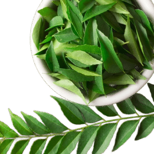 Curry Leaves