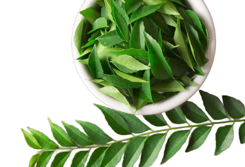Curry Leaves