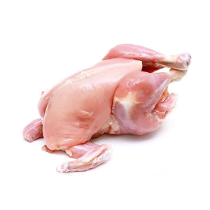Baby Chicken