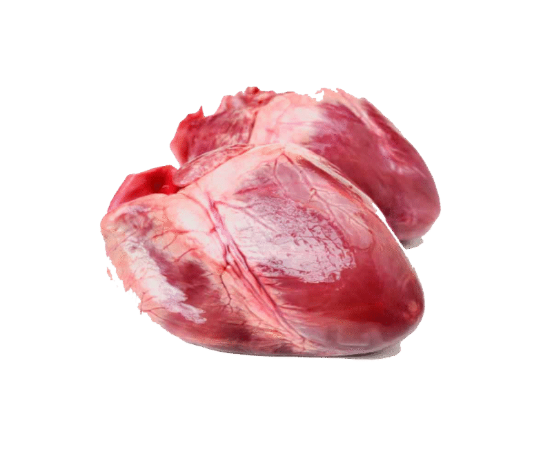 Baby Goat Heart