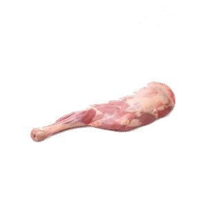 Baby Lamb Front Leg