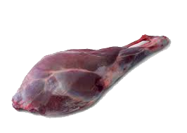 Back Leg