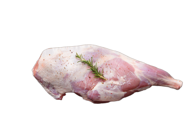 Baby goat SPL price
