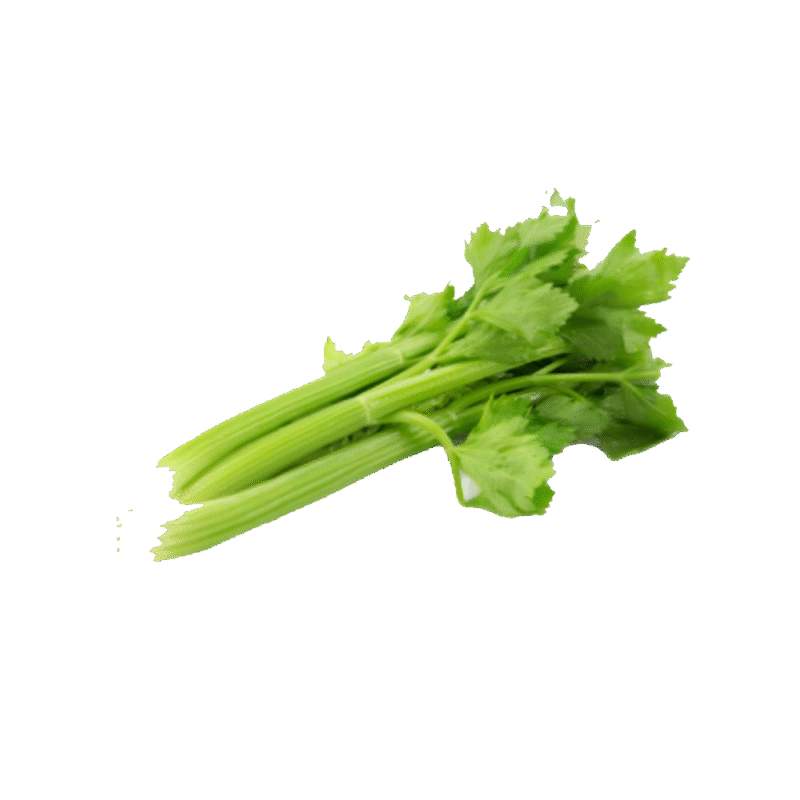 Celery Sleeve
